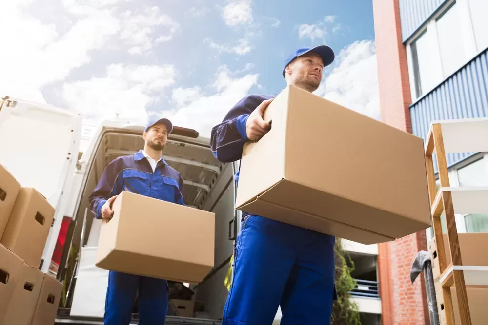 How Experienced Removalists Support Stress-Free Moving Days?